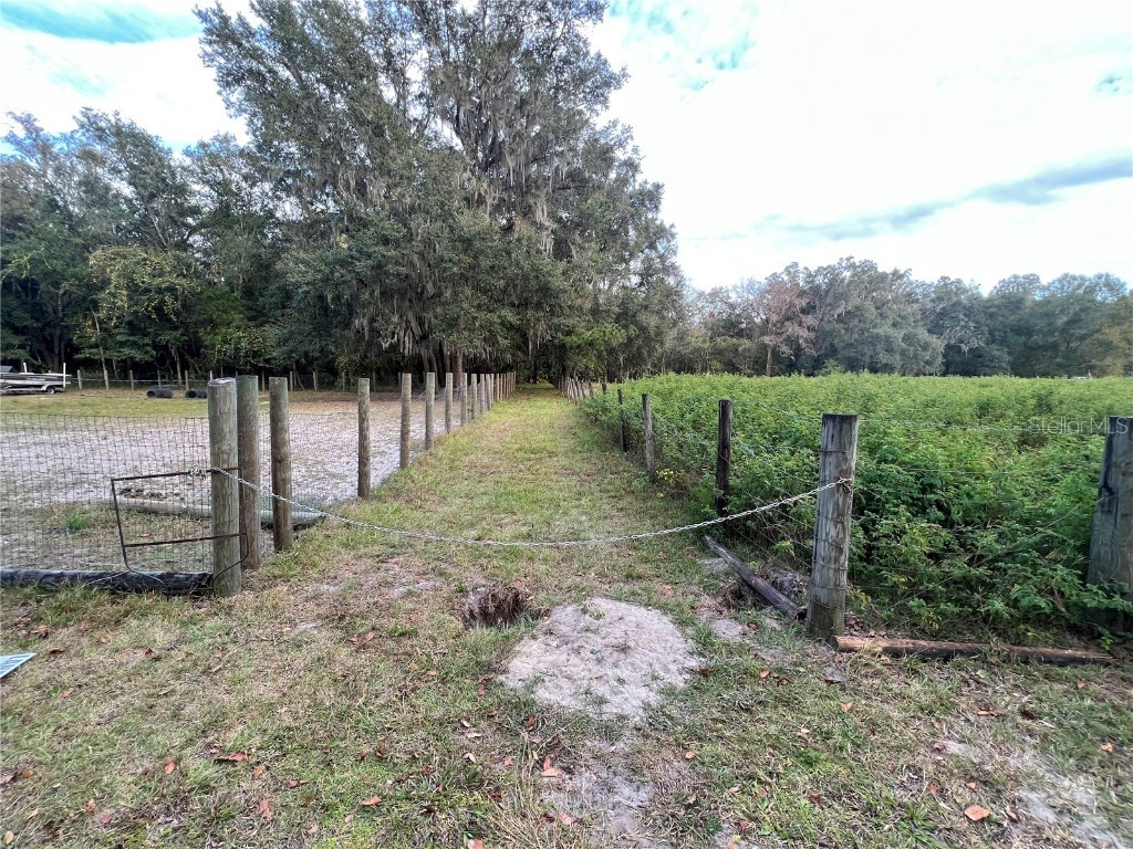Nw 150th Ave Road Micanopy FL 32667 O6135985 image1