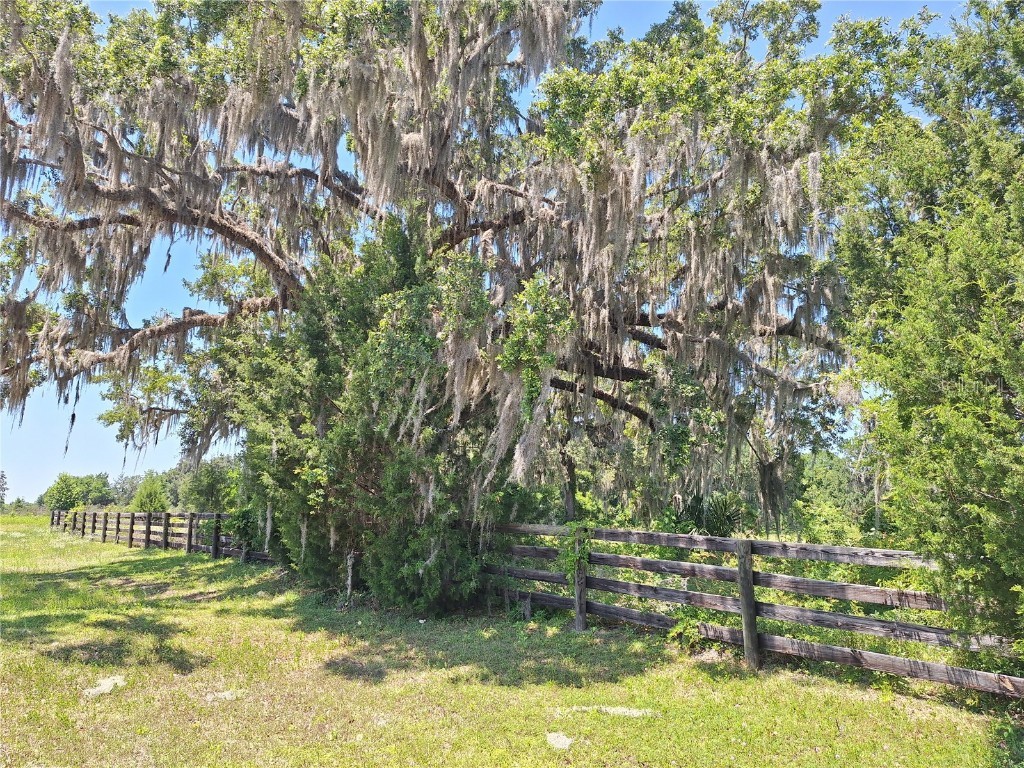 NW 154th Ave. Rd. #13 Morriston FL 32668 GC531310 image11