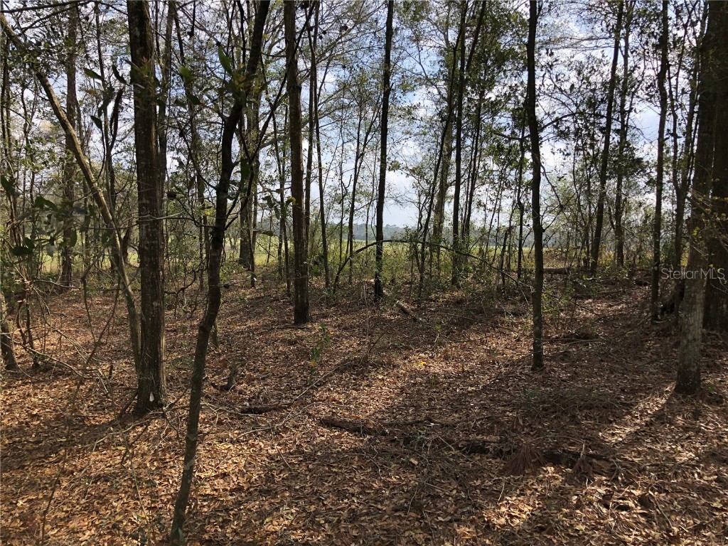 NW 15th Avenue Branford FL 32008 GC511602 image1