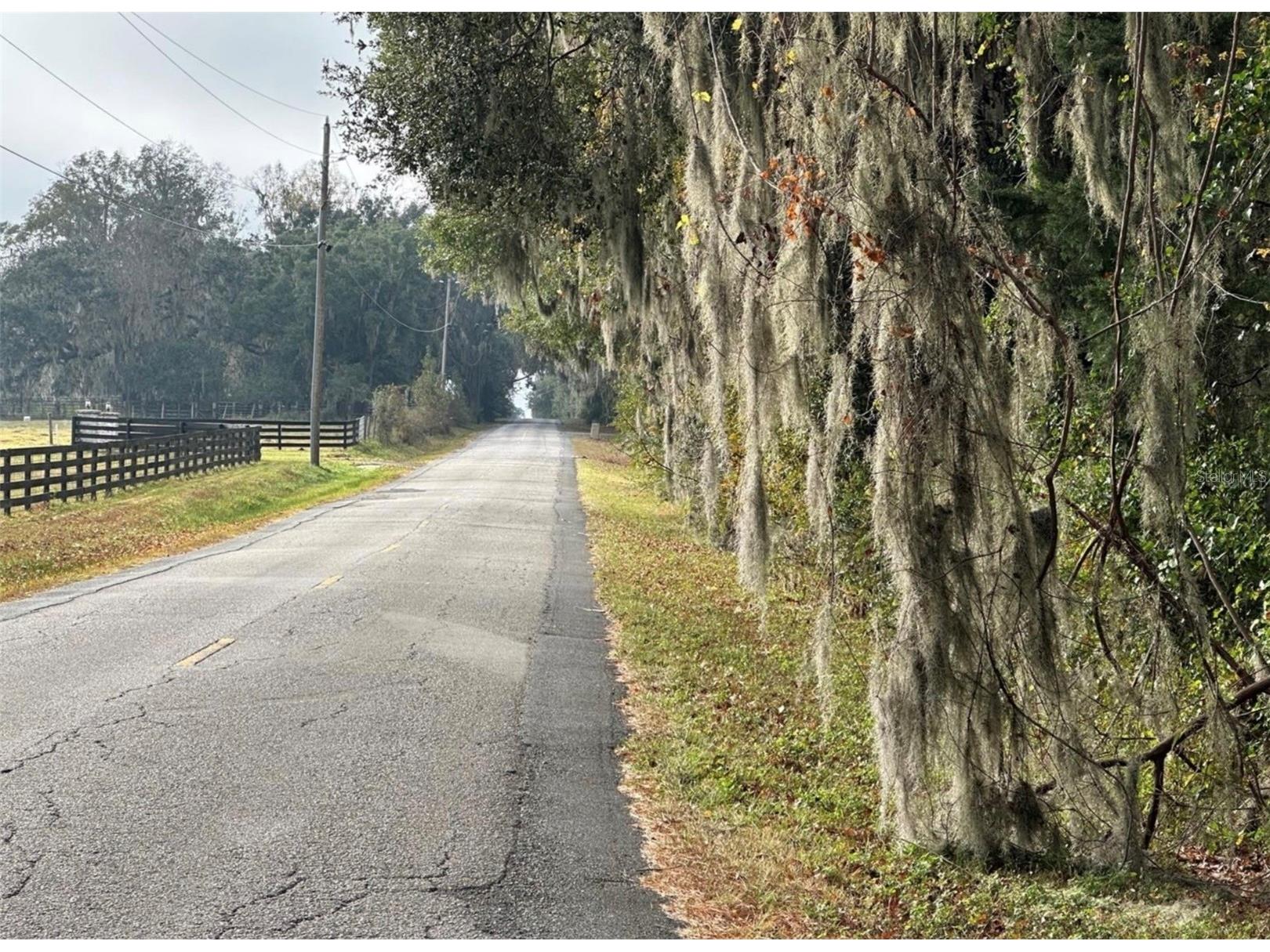 NW 160th Street Reddick FL 32686 OM722390 image10