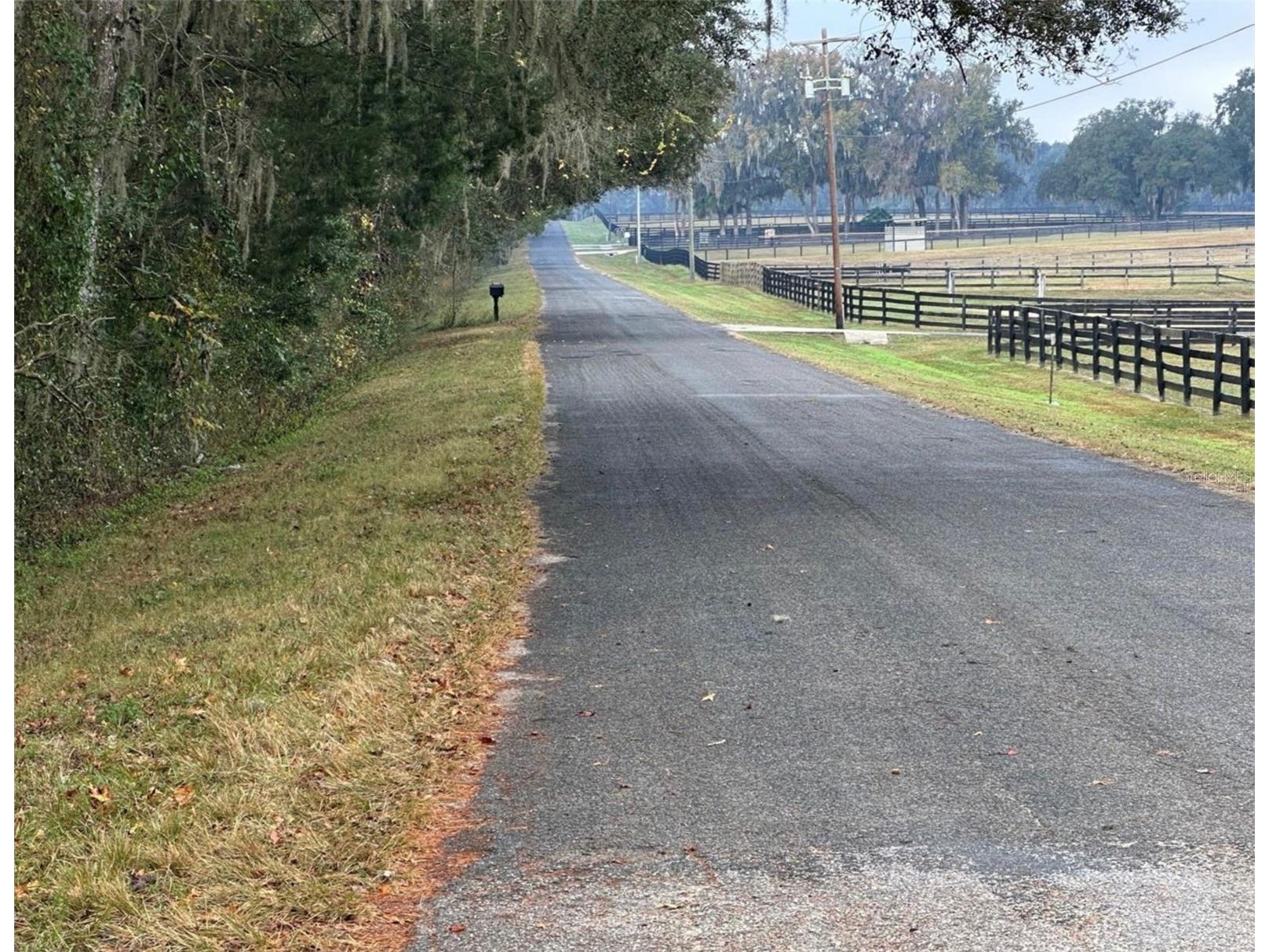 NW 160th Street Reddick FL 32686 OM722390 image11
