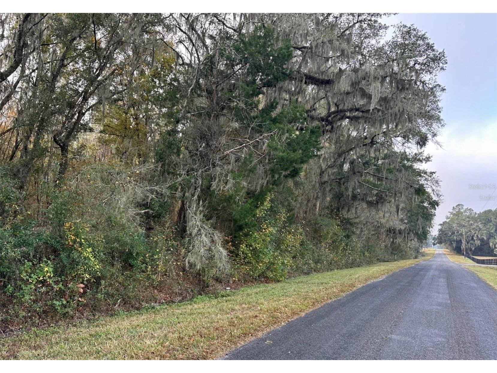 NW 160th Street Reddick FL 32686 OM722390 image12