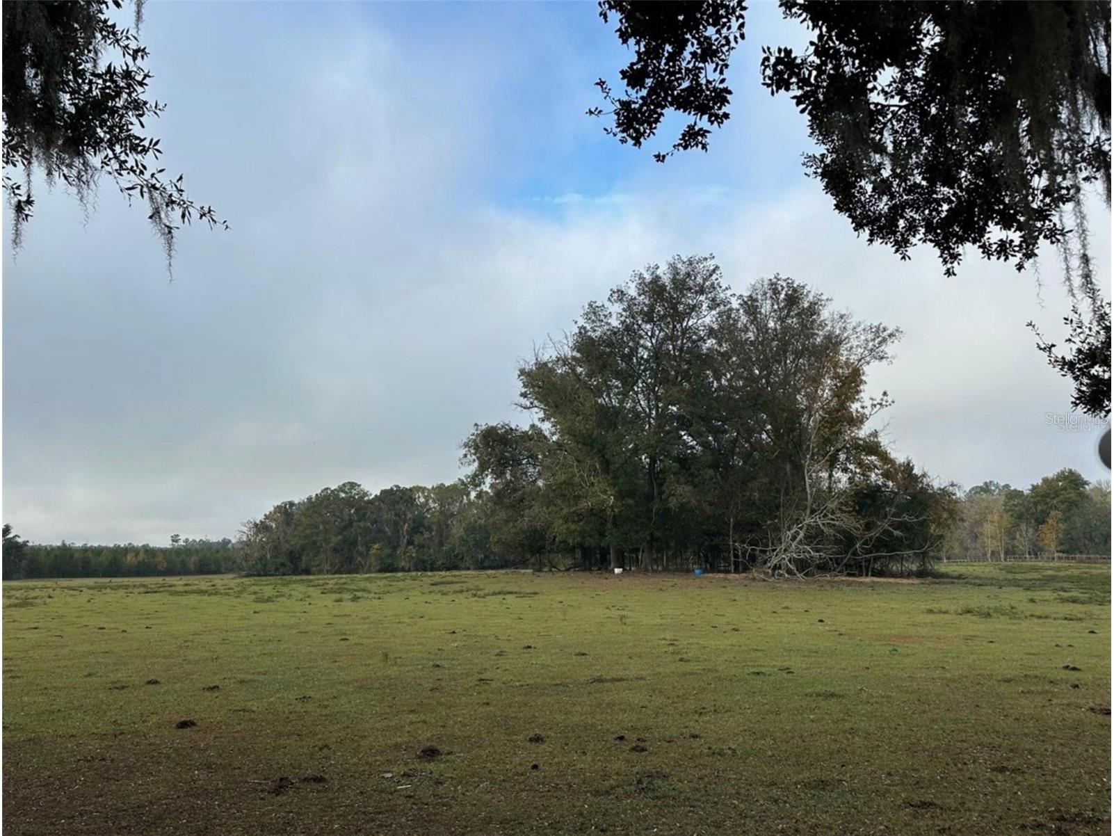 NW 160th Street Reddick FL 32686 OM722390 image2