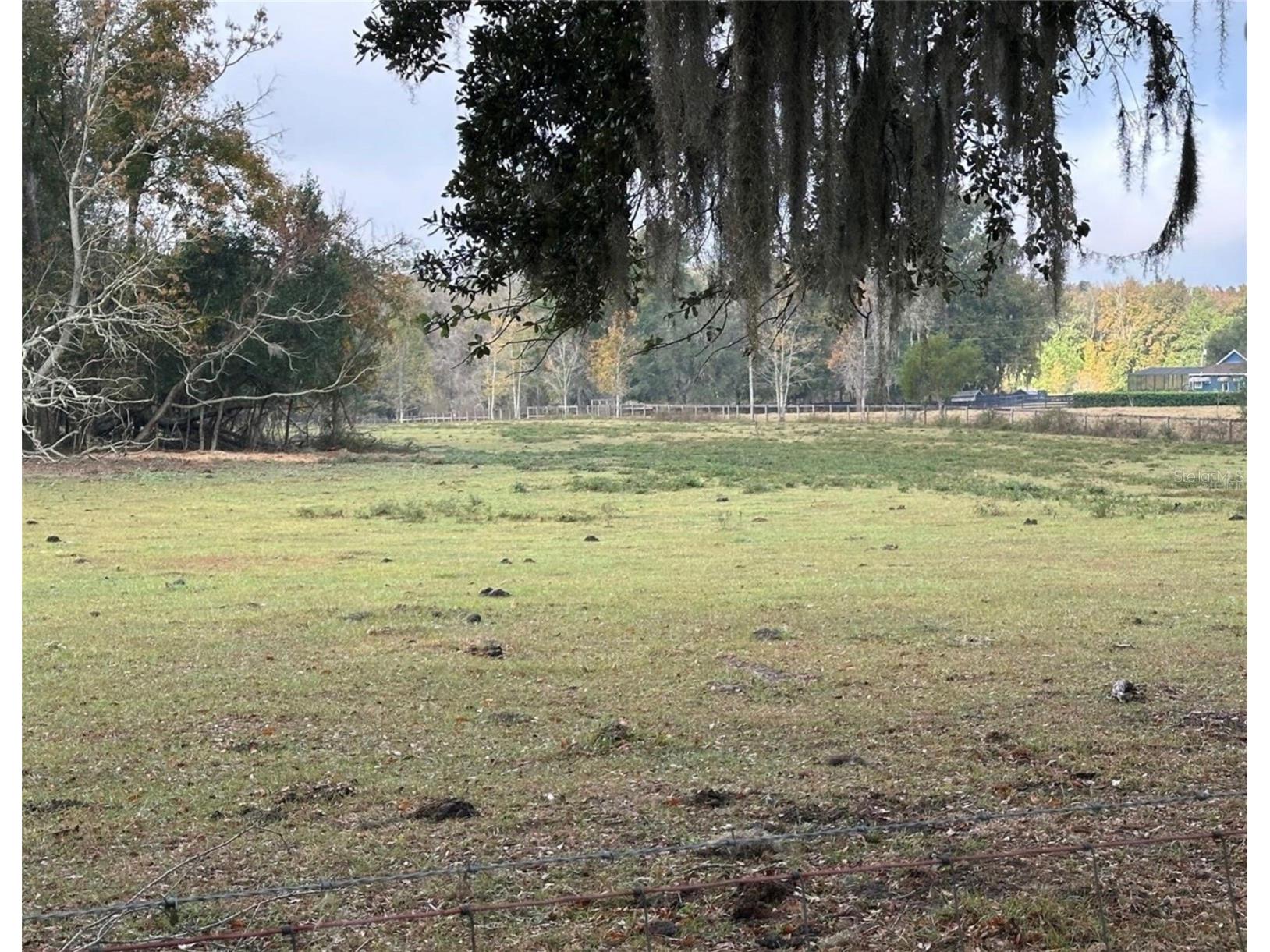 NW 160th Street Reddick FL 32686 OM722390 image3