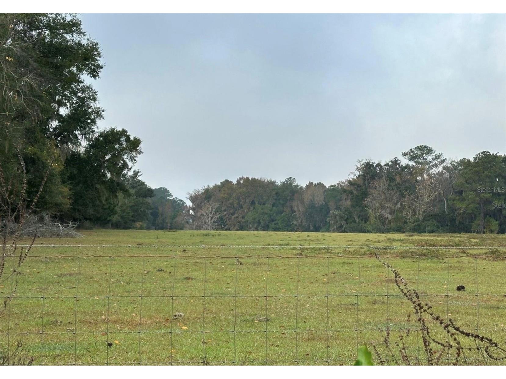 NW 160th Street Reddick FL 32686 OM722390 image4