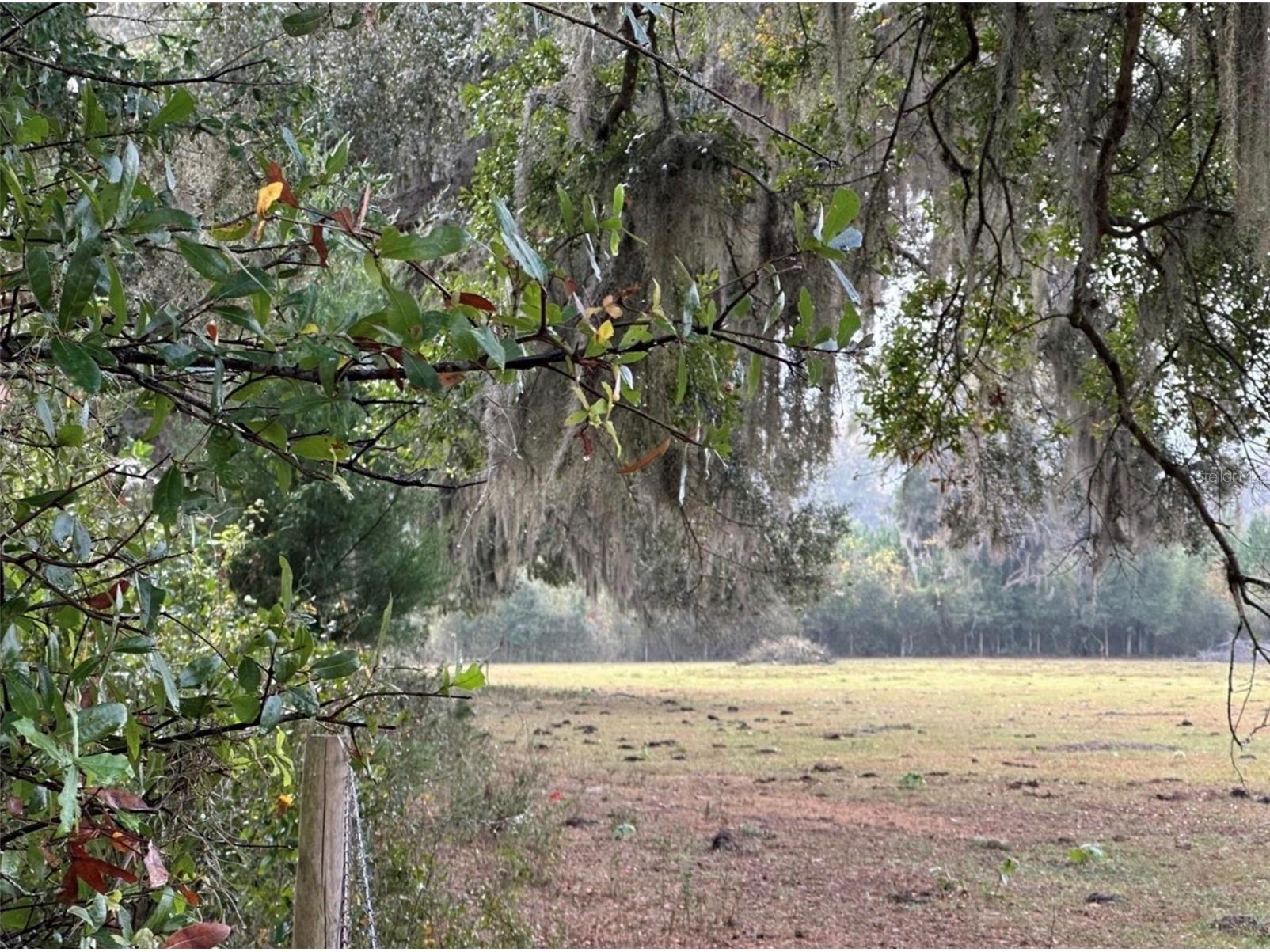 NW 160th Street Reddick FL 32686 OM722390 image6