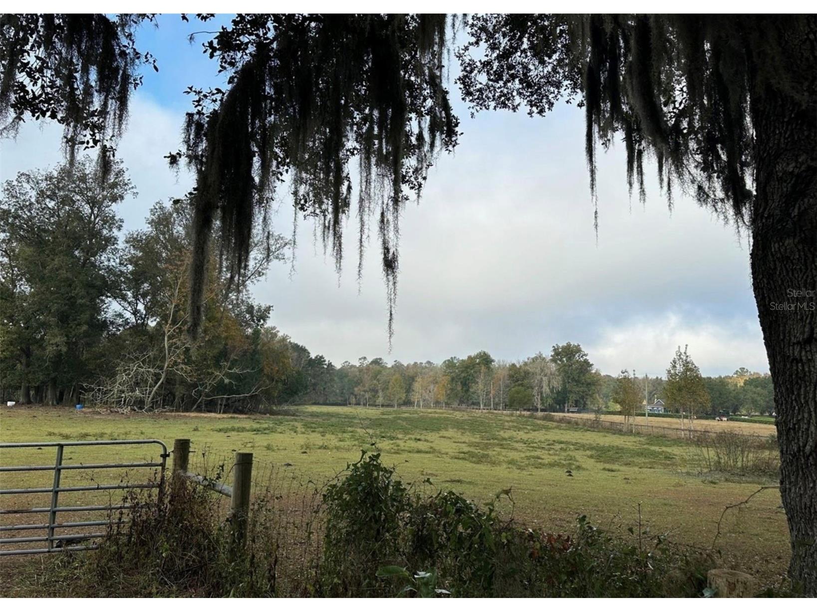 NW 160th Street Reddick FL 32686 OM722390 image7