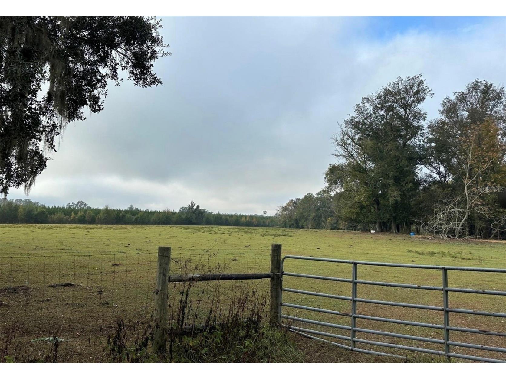 NW 160th Street Reddick FL 32686 OM722390 image8