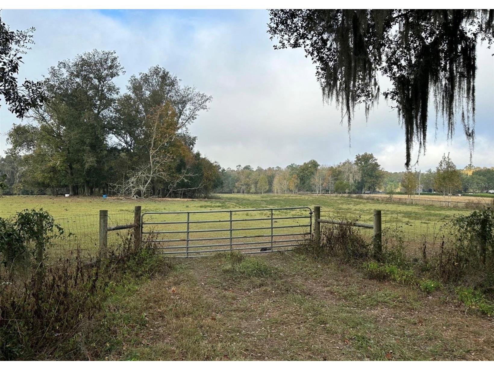 NW 160th Street Reddick FL 32686 OM722390 image9