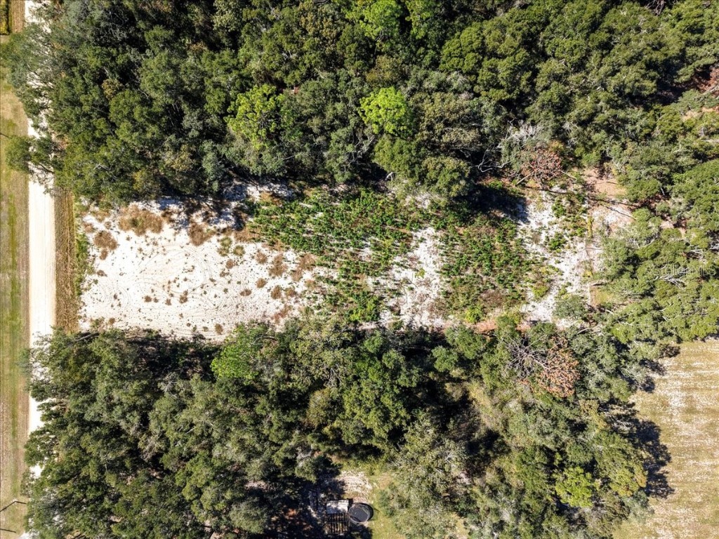 NW 162nd Street Trenton FL 32693 GC535057 image11