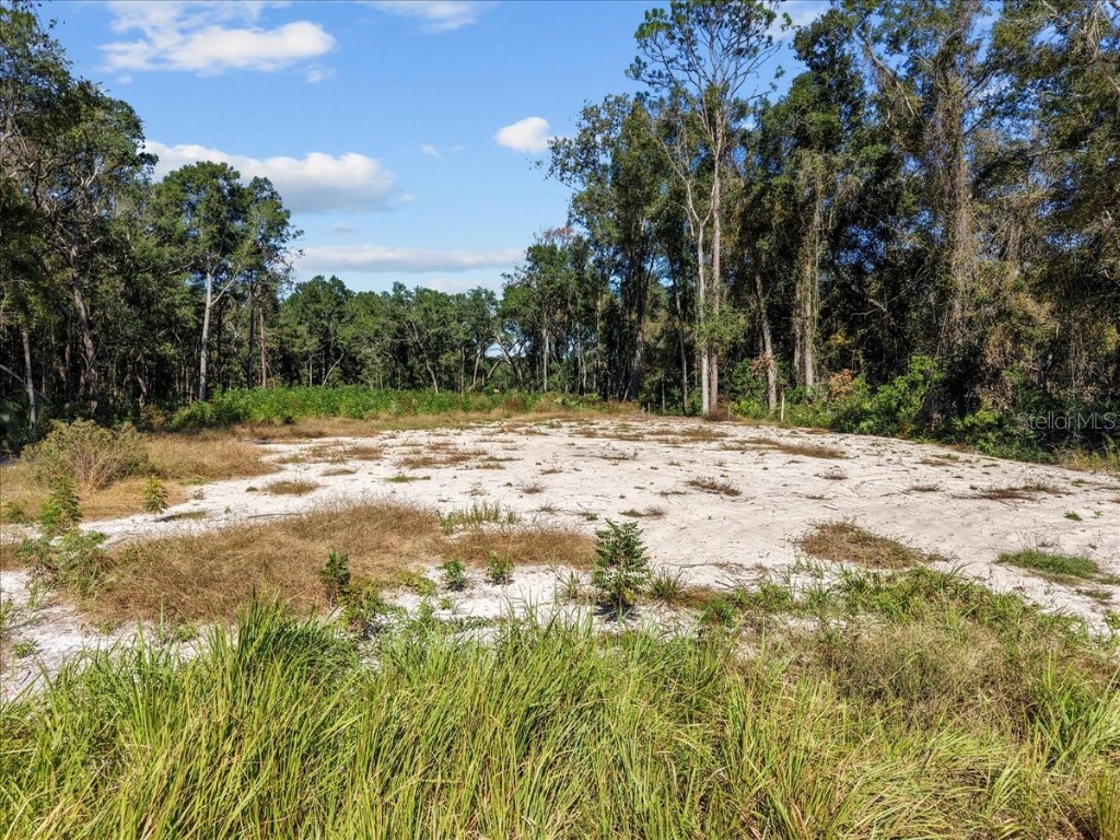 NW 162nd Street Trenton FL 32693 GC535057 image17