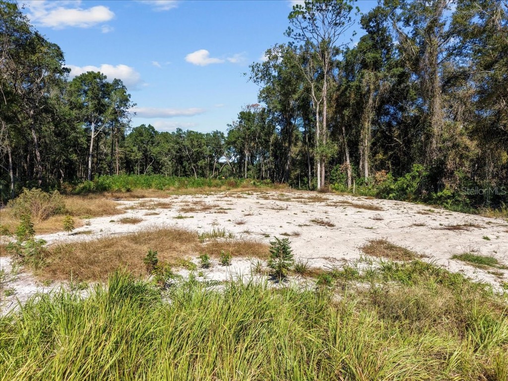 NW 162nd Street Trenton FL 32693 GC535057 image18