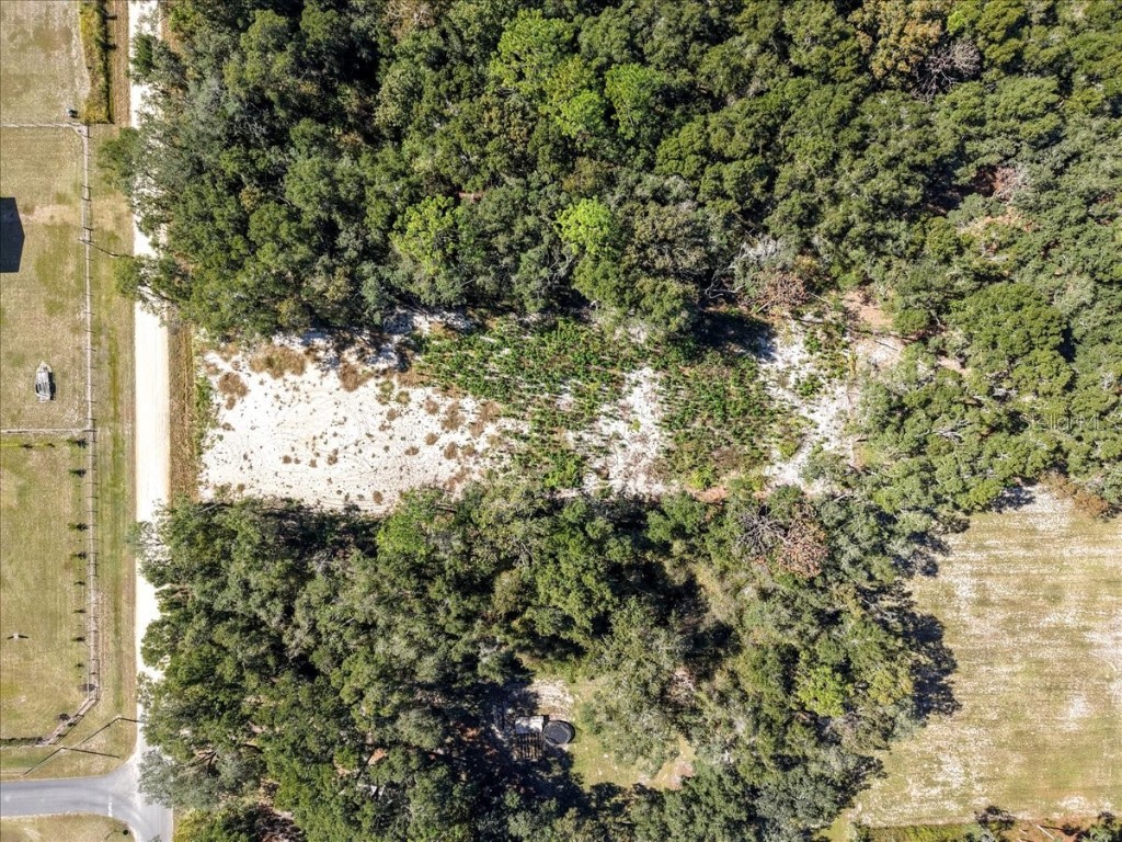 NW 162nd Street Trenton FL 32693 GC535057 image4