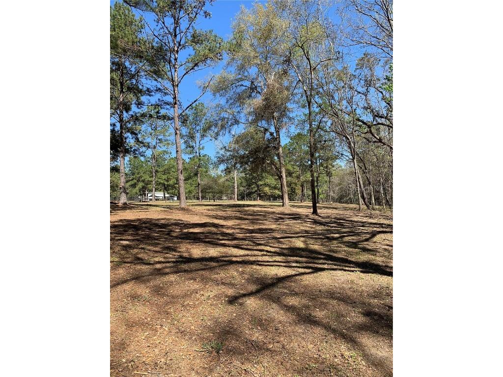 NW 169th Drive Alachua FL 32615 GC528523 image1