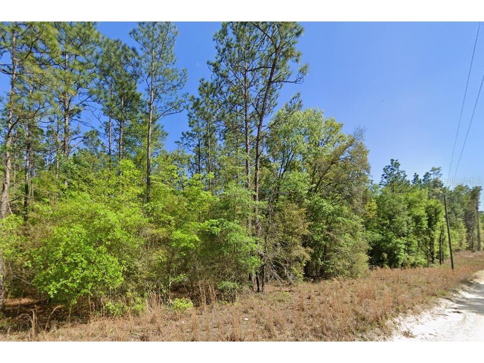 NW 16th Avenue Bell FL 32619 U8234546 image1