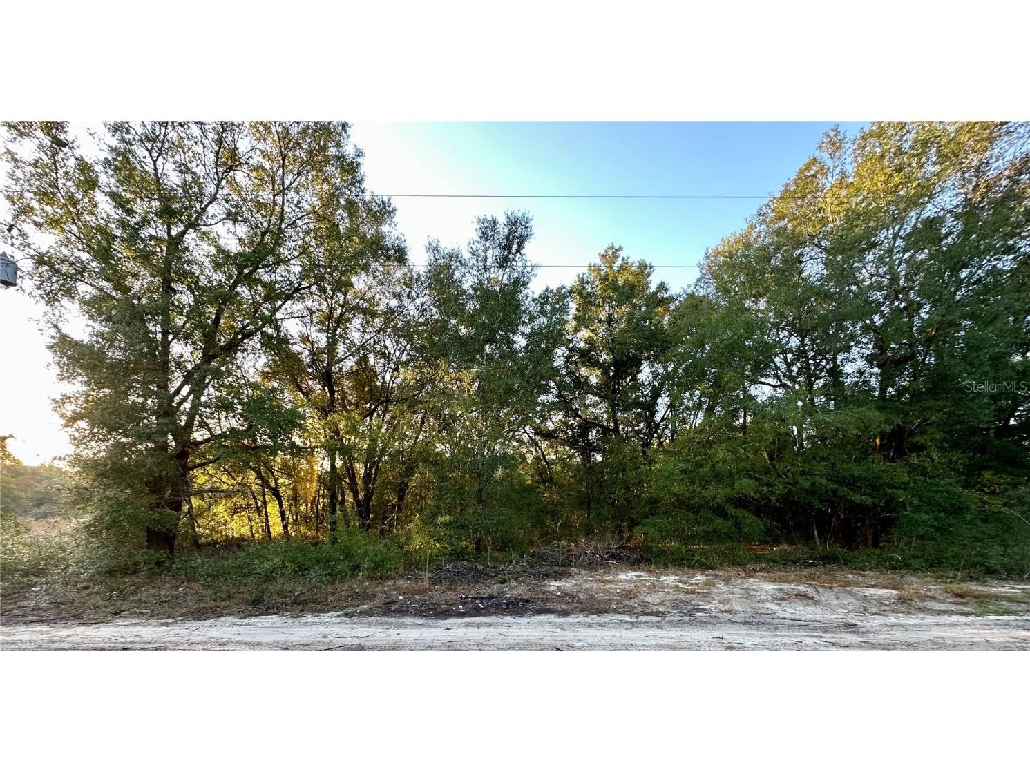 NW 16th Place Ocala FL 34482 OM714894 image4