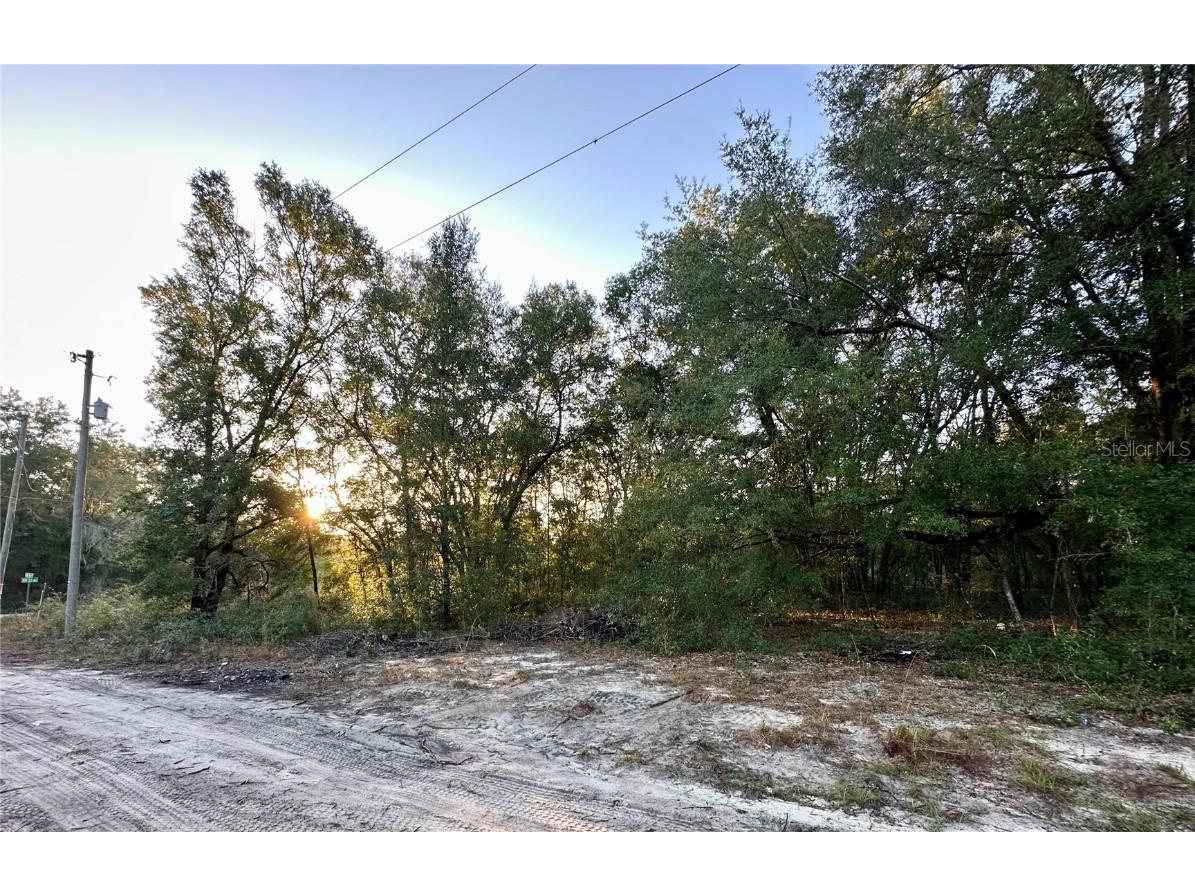 NW 16th Place Ocala FL 34482 OM714894 image5