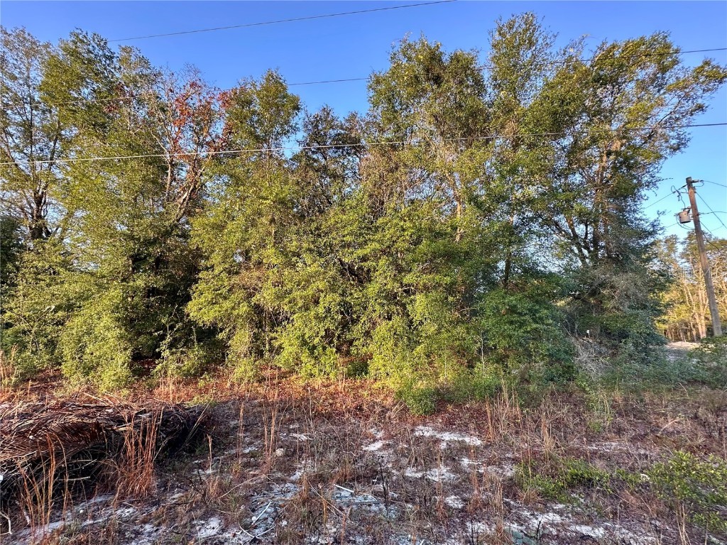 NW 16th Place Ocala FL 34482 OM714894 image6
