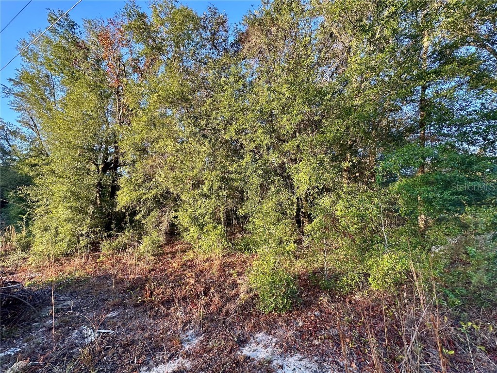 NW 16th Place Ocala FL 34482 OM714894 image7