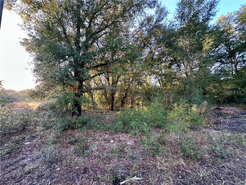 NW 16th Place Ocala FL 34482 OM714894 image8