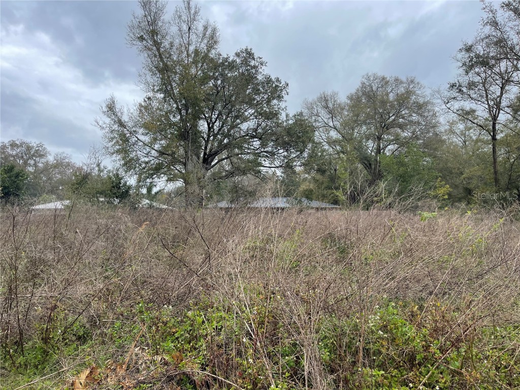 Nw 16th St Ocala FL 34482 S5100290 image1
