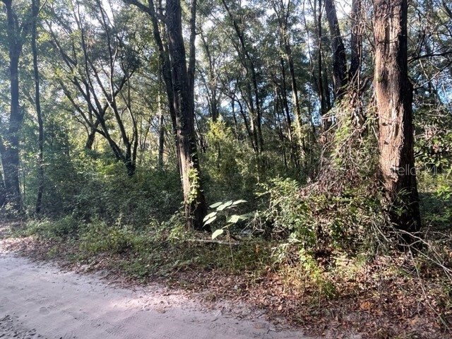 NW 17 Street Ocala FL 34482 T3484598 image1