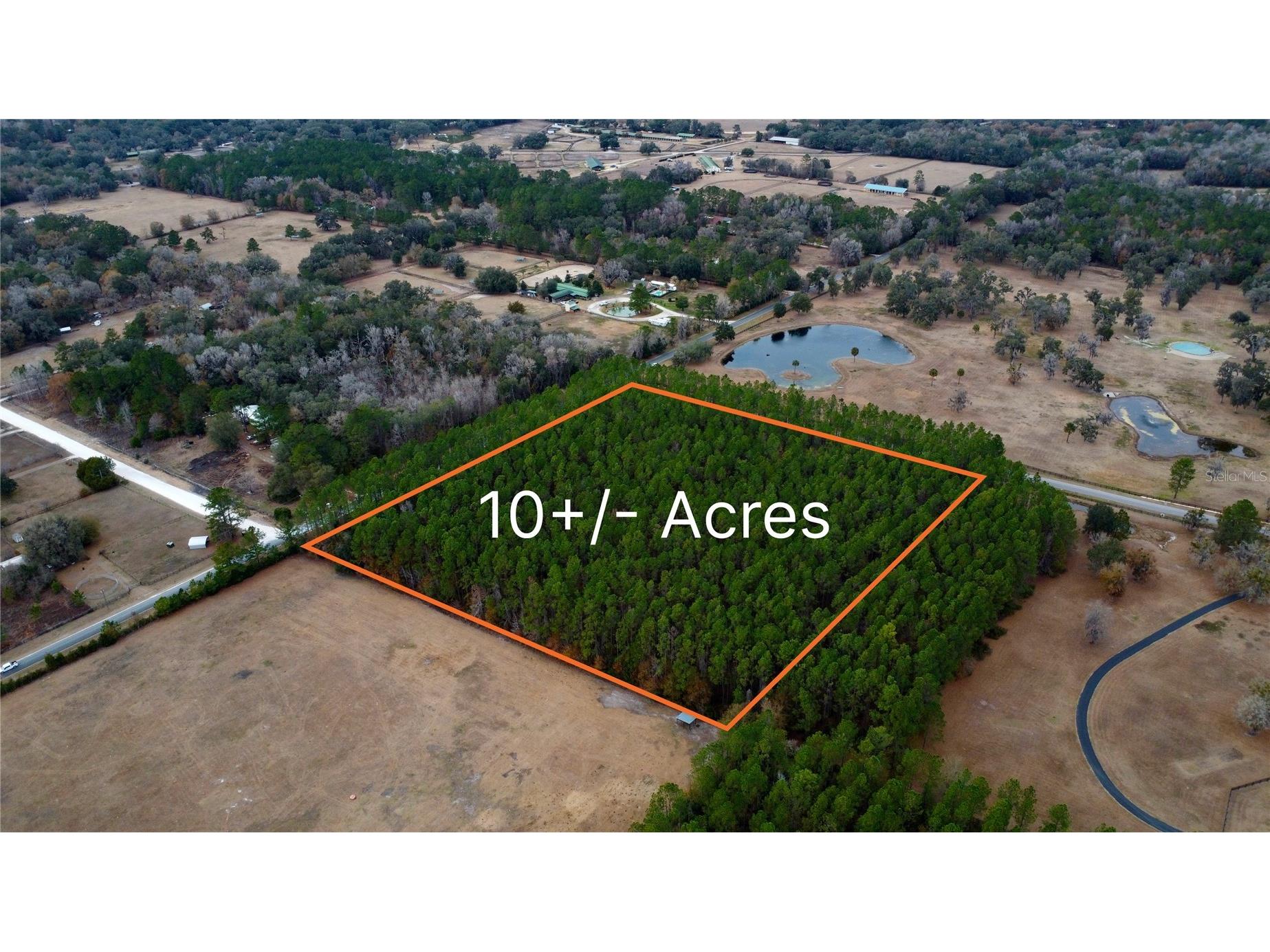 NW 170th Street Reddick FL 32686 OM718848 image1