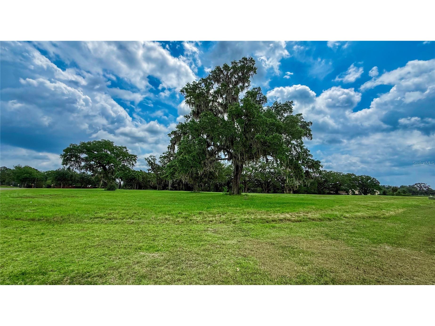 NW 17th Circle Ocala FL 34475 OM724459 image2