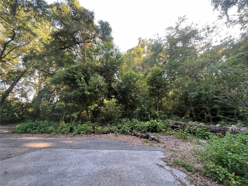 NW 181st Place High Springs FL 32643 OK222997 image1