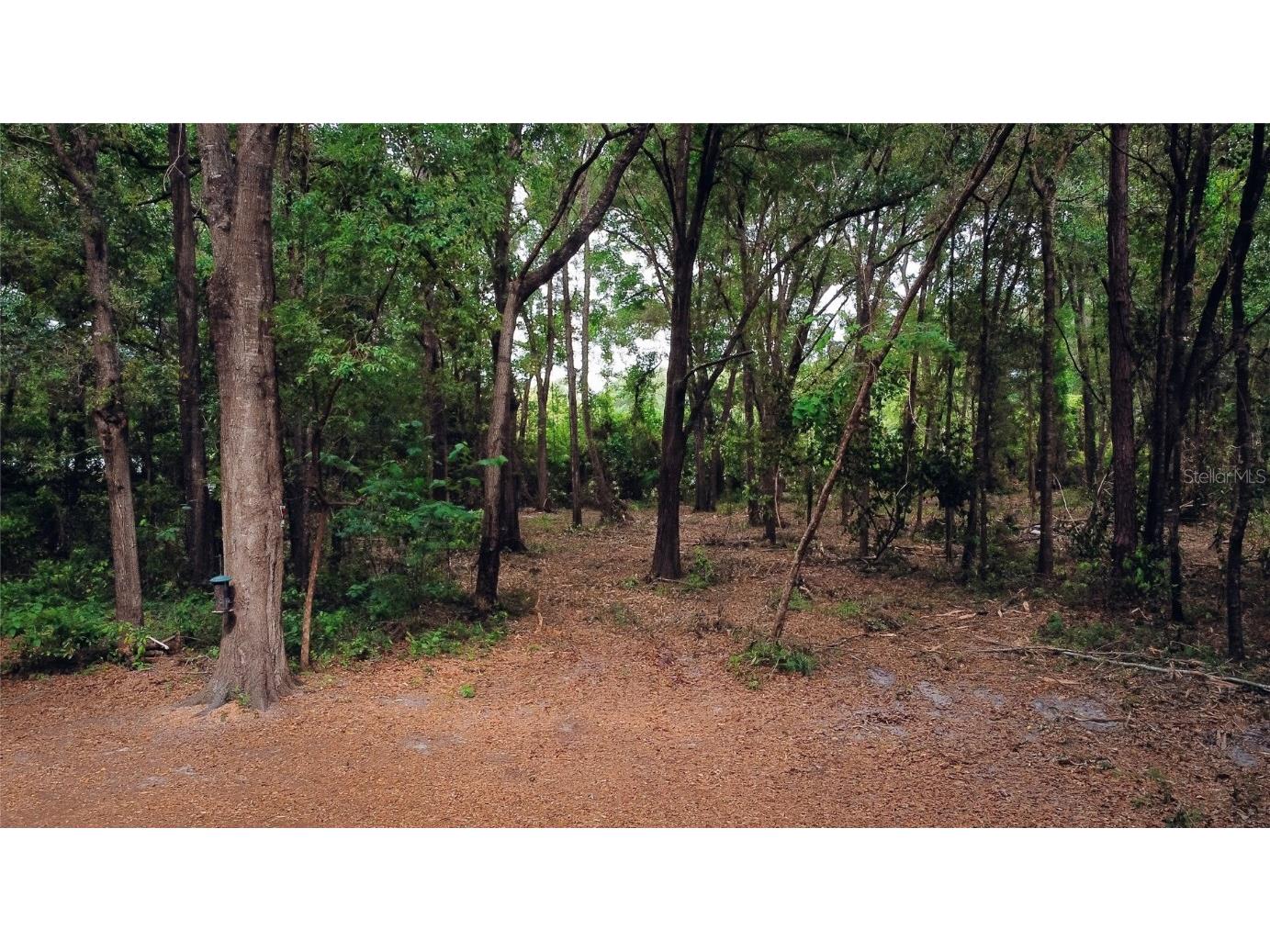 NW 182 Place High Springs FL 32643 GC514096 image1