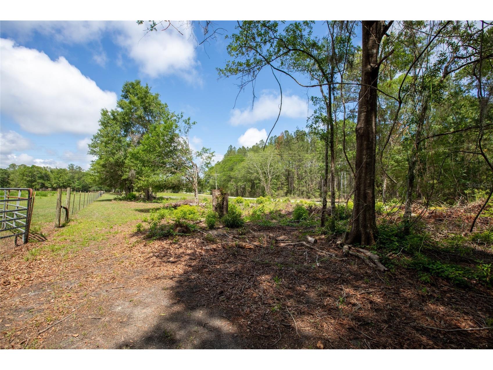 Nw 185th Street Starke FL 32091 GC540289 image12