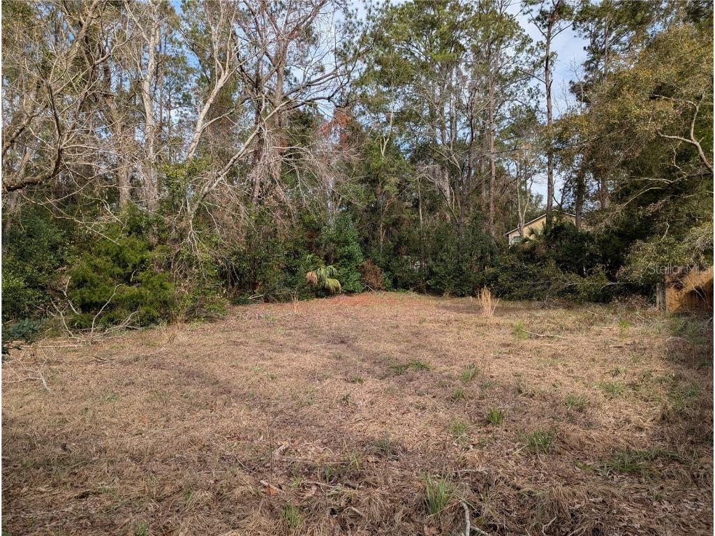 NW 187 Road High Springs FL 32643 A4636929 image1