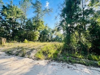 NW 18th Terrace Bell FL 32619 GC523185 image1