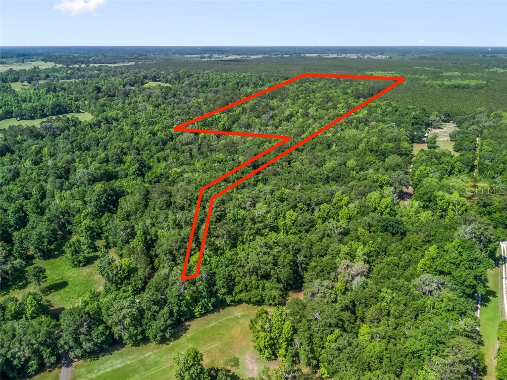 NW 198th St Road Micanopy FL 32667 OM699501 image1