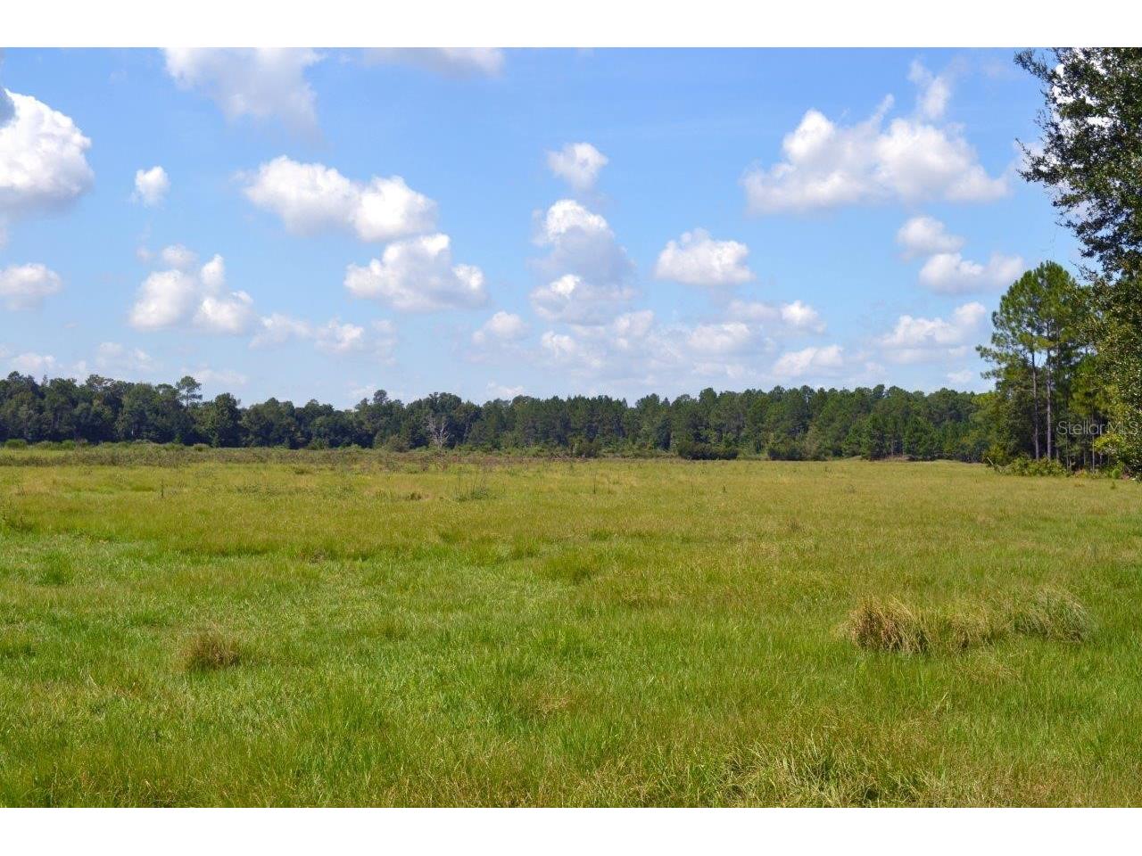 NW 202nd Street High Springs FL 32643 GC540659 image1