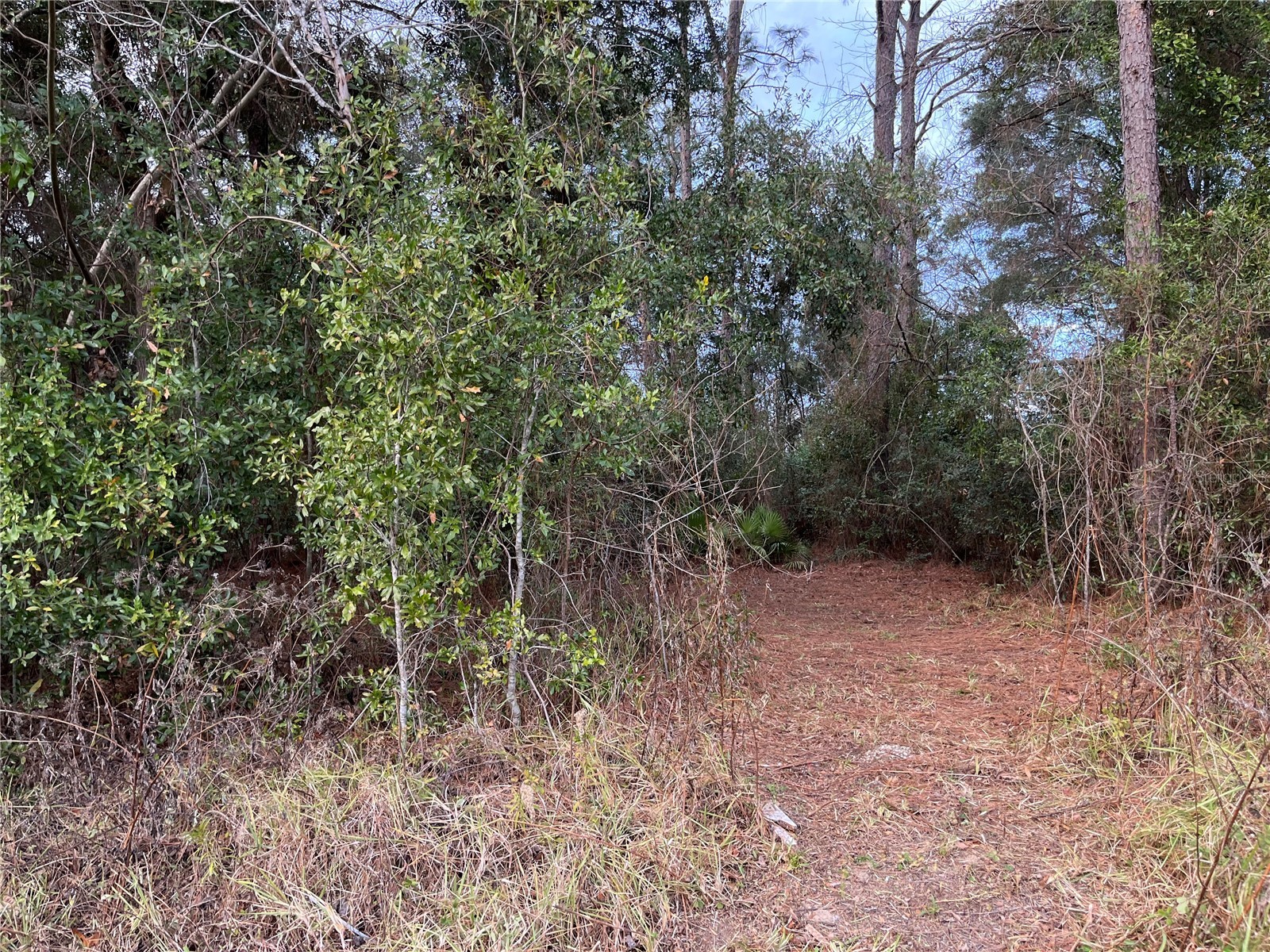 Nw 20th St Ocala FL 34482 S5141801 image2