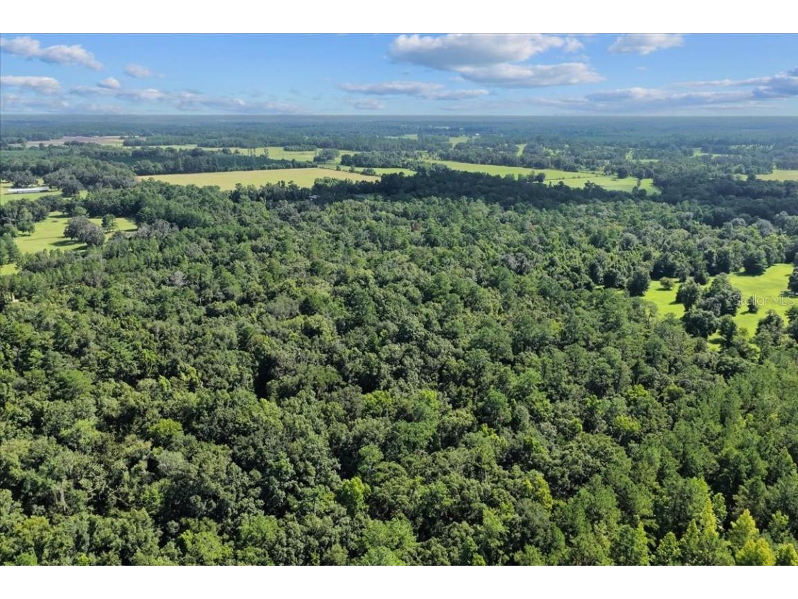 NW 218th Lane Alachua FL 32615 GC532585 image19