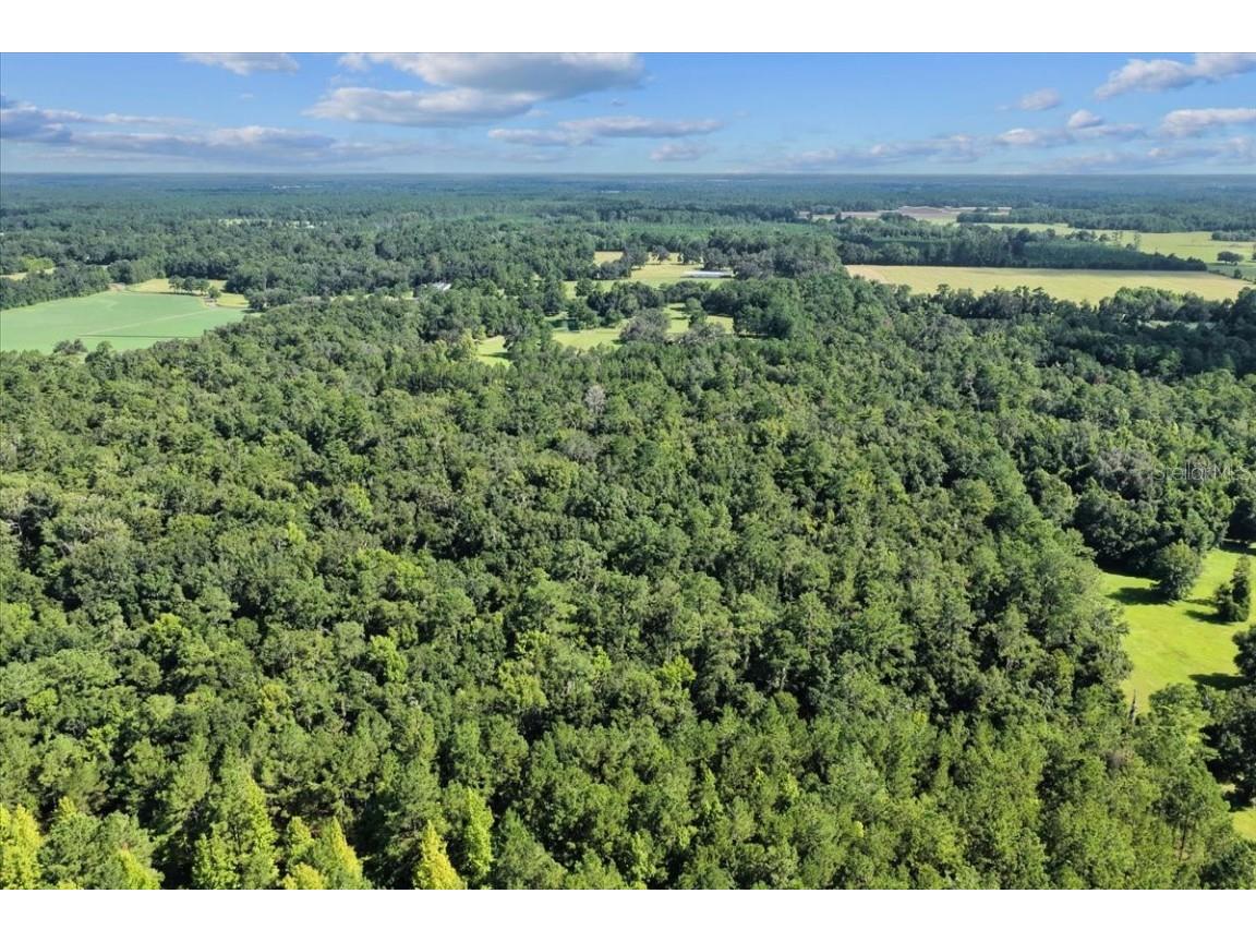 NW 218th Lane Alachua FL 32615 GC532585 image20