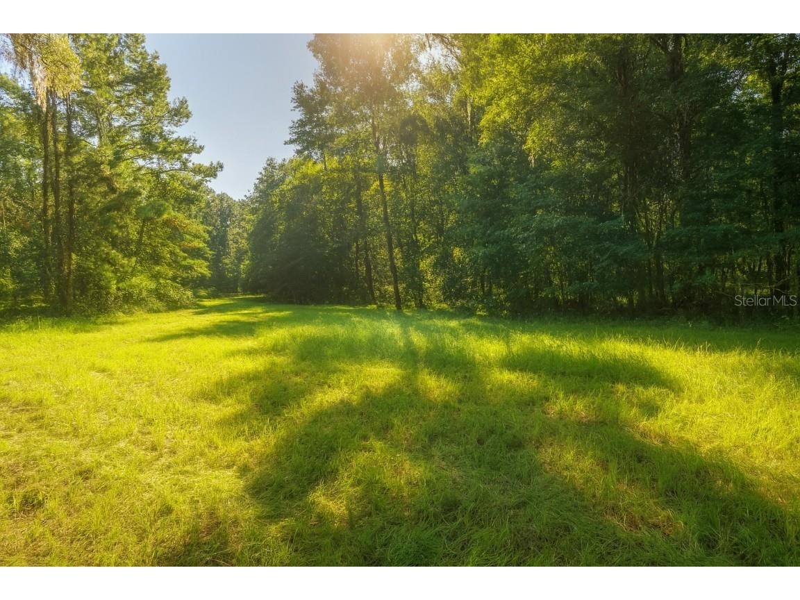 NW 218th Lane Alachua FL 32615 GC532585 image9