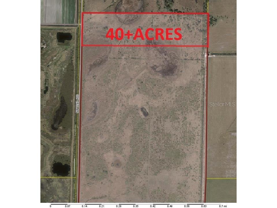 NW 240th Street Okeechobee FL 34972 OK224725 image10