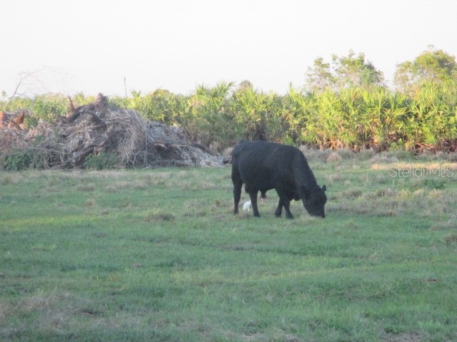 NW 240th Street Okeechobee FL 34972 OK224725 image4