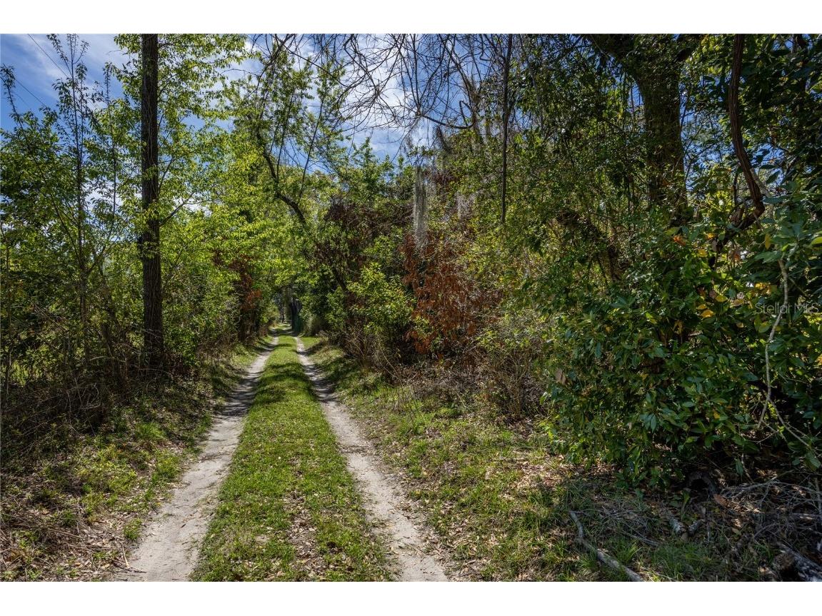 NW 253rd Street, High Springs, FL, 32643 | MLS: GC520265 | Edina Realty