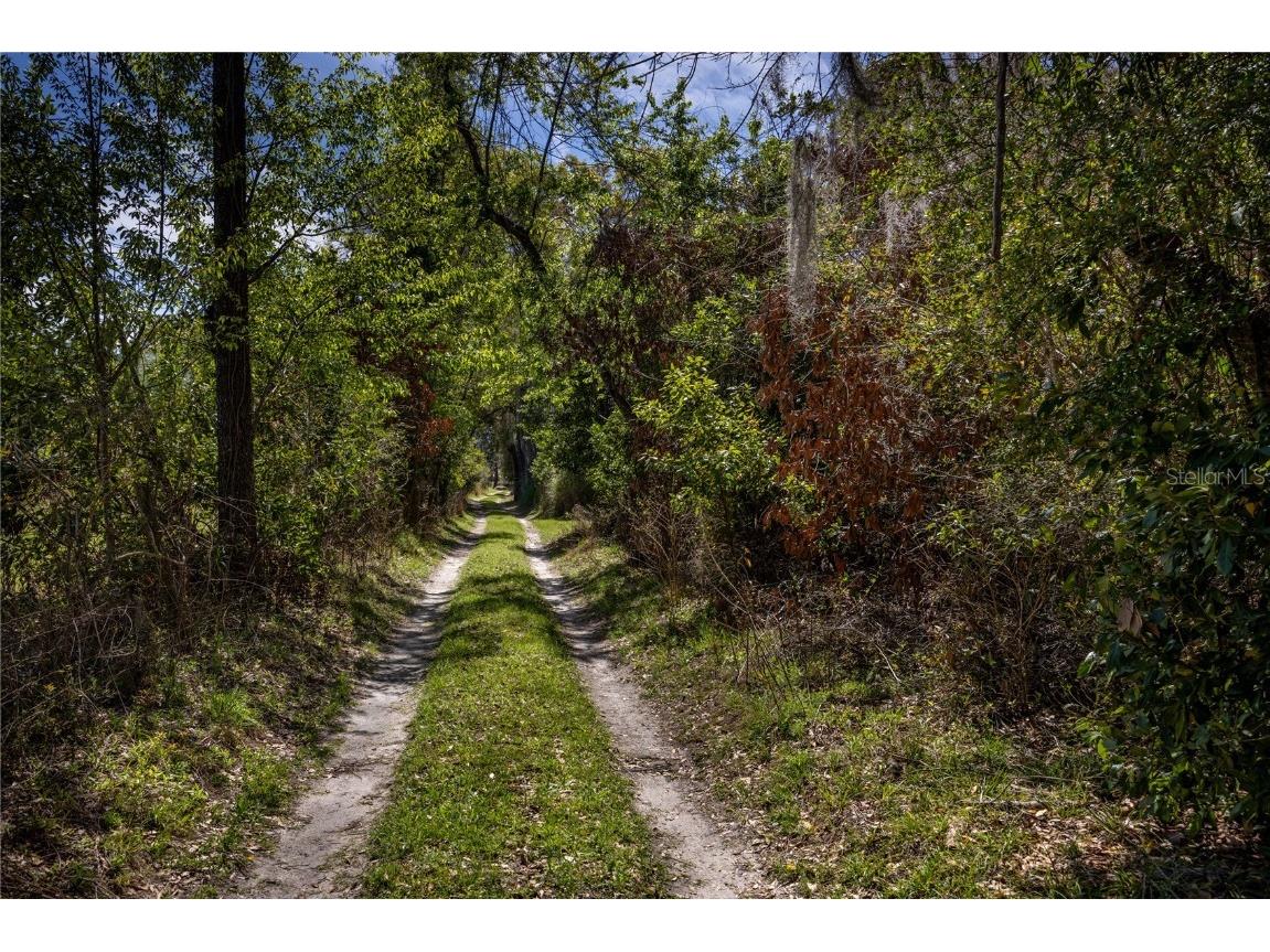 NW 253rd Street, High Springs, FL, 32643 | MLS: GC520265 | Edina Realty