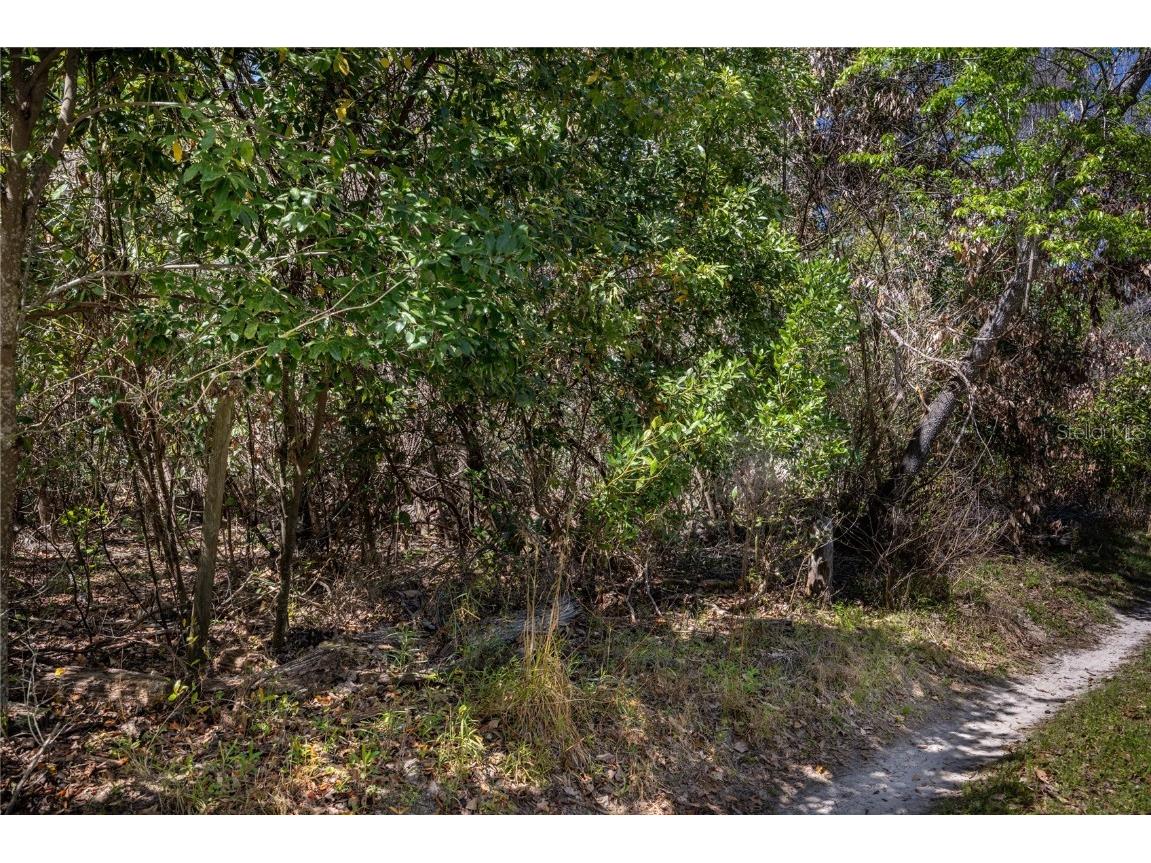 NW 253rd Street High Springs FL 32643 GC520265 image6