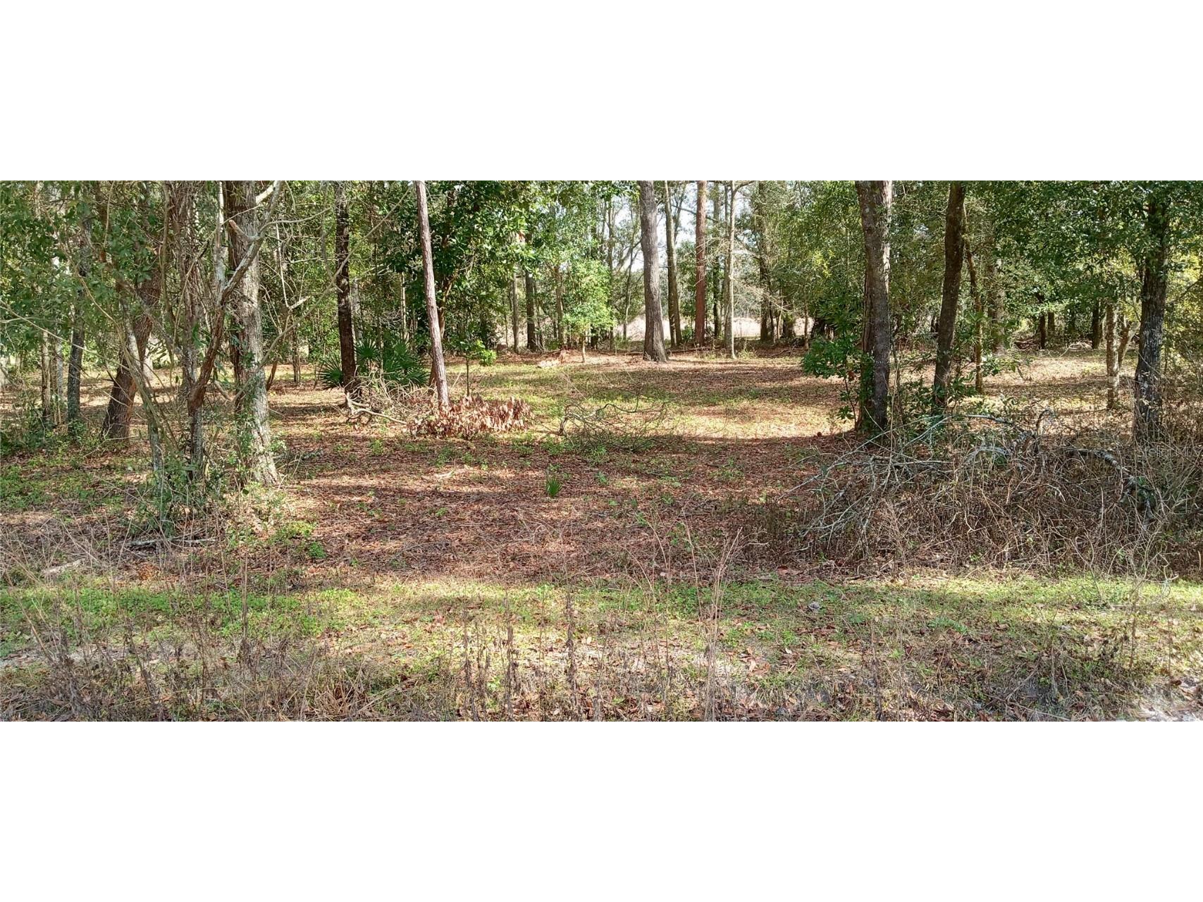 NW 25th Court Branford FL 32008 OM672179 image1