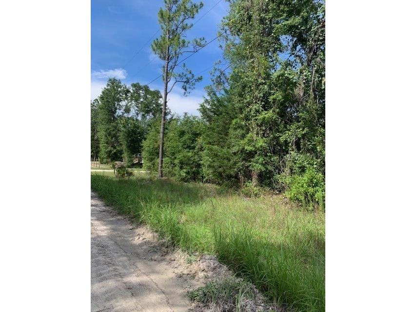 NW 25th Court Branford FL 32008 GC532403 image1