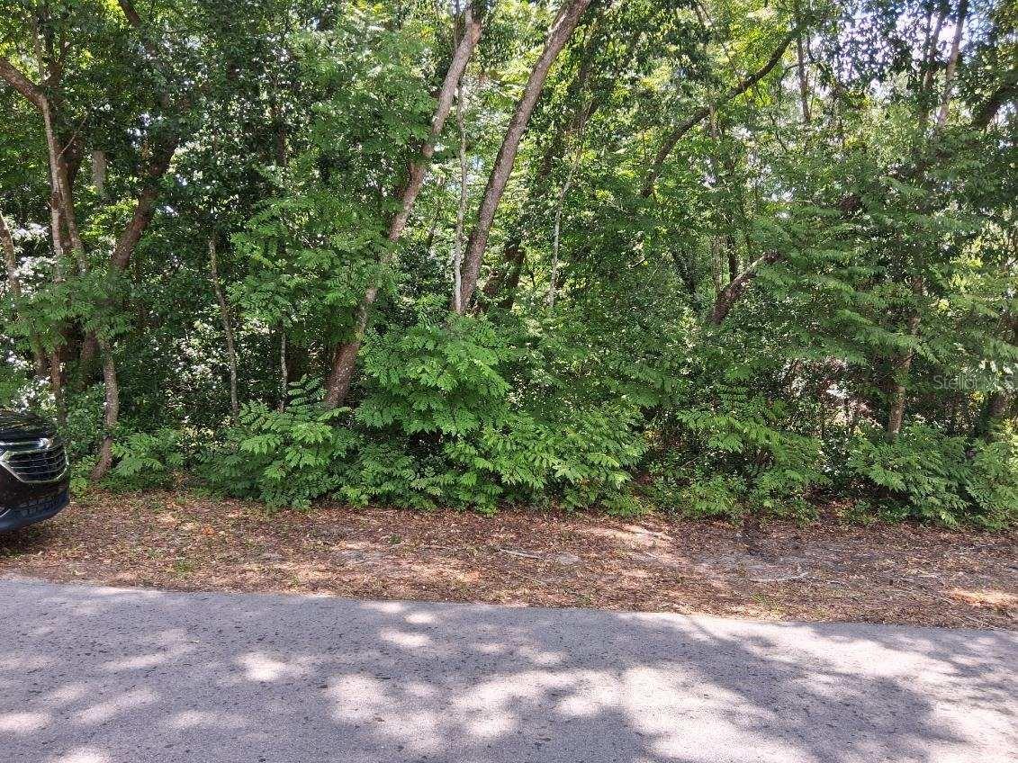 NW 2nd Street Webster FL 33597 G5112120 image1