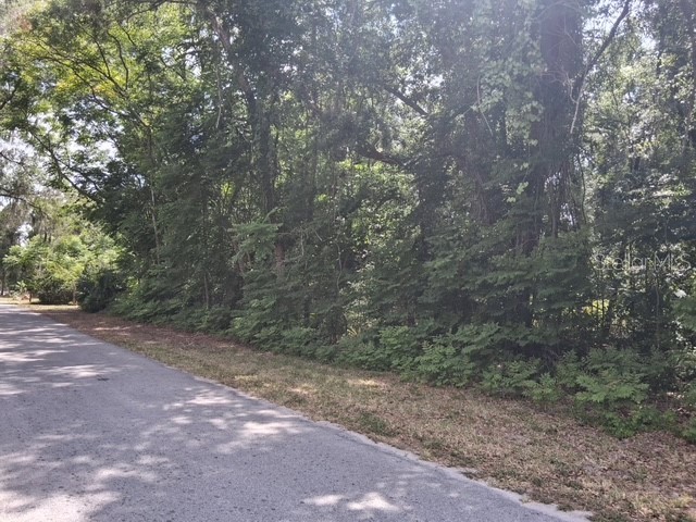 NW 2nd Street Webster FL 33597 G5112120 image3