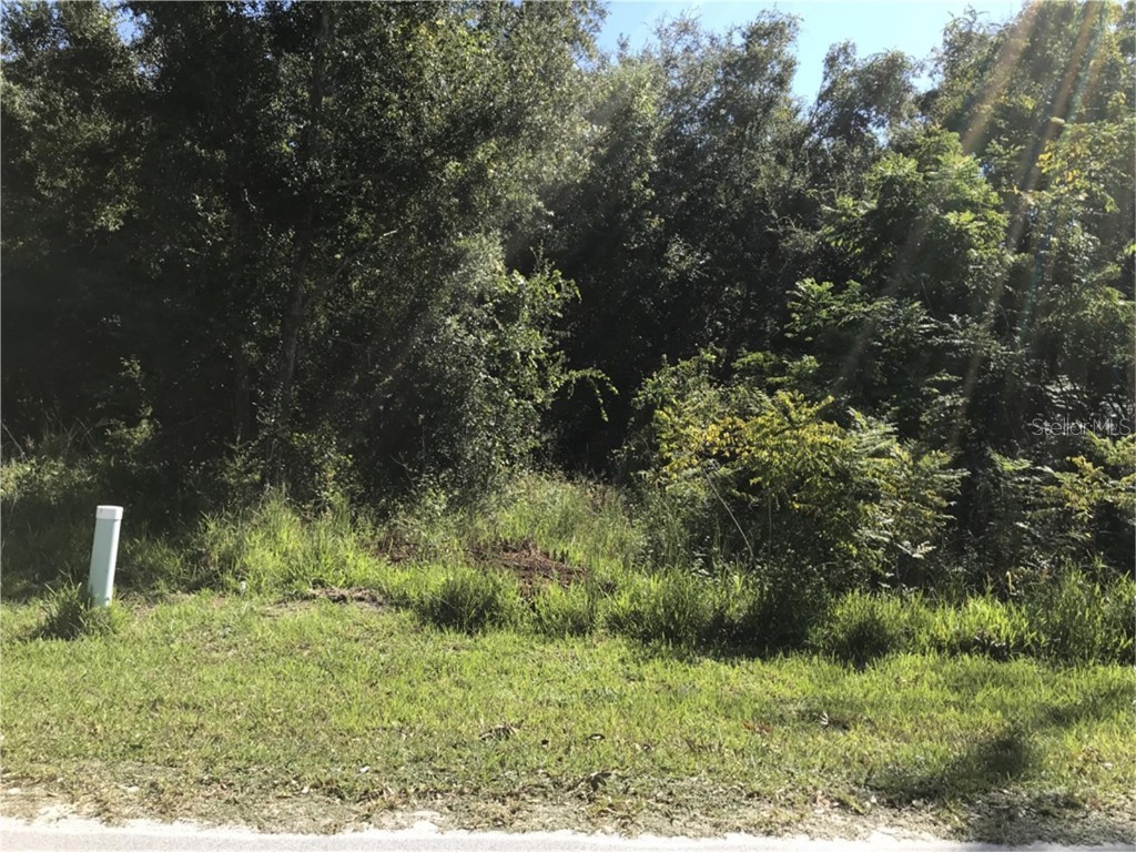 NW 2nd Webster FL 33597 G5072501 image1