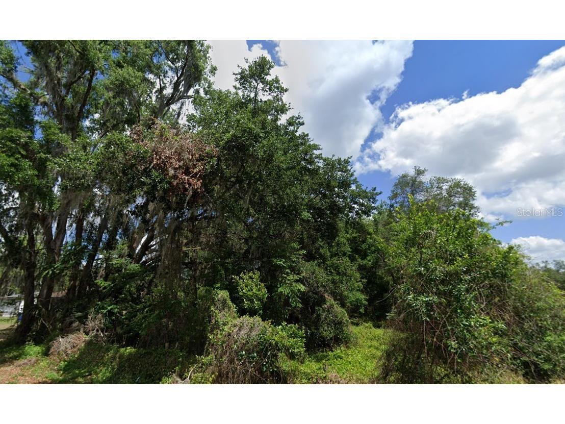 NW 2nd Webster FL 33597 D6147678 image3
